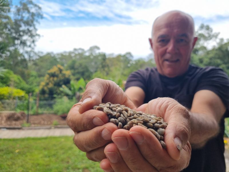 Man with handful of home grown green beans.