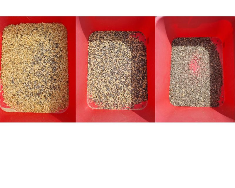 Three tubs, three winnows showing the beans getting cleaner with each pass.