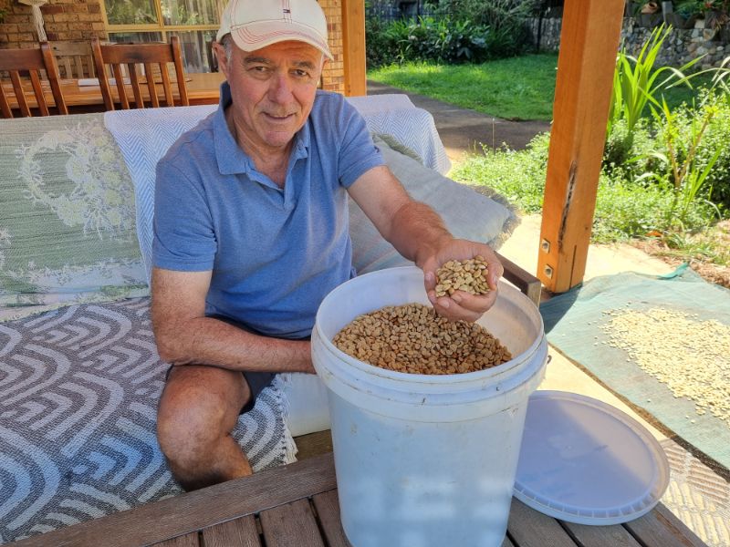 Grower with a handful of parchment coffee with a full storage bucket.