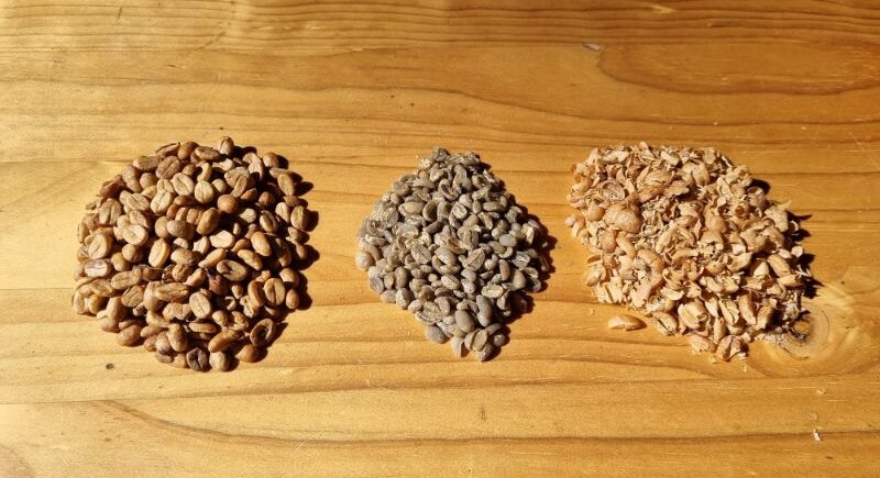Comparing parchment separated into green beans and the parchment shells